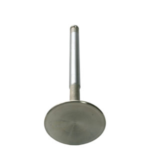 A stainless steel toilet plunger with a long handle and TR5-6 inlet valve, positioned vertically against a white background.