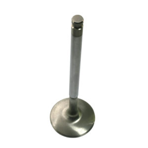 A stainless steel Exhaust Valve - TR5-6 with a shiny, round head and a long, slender stem, isolated on a white background.